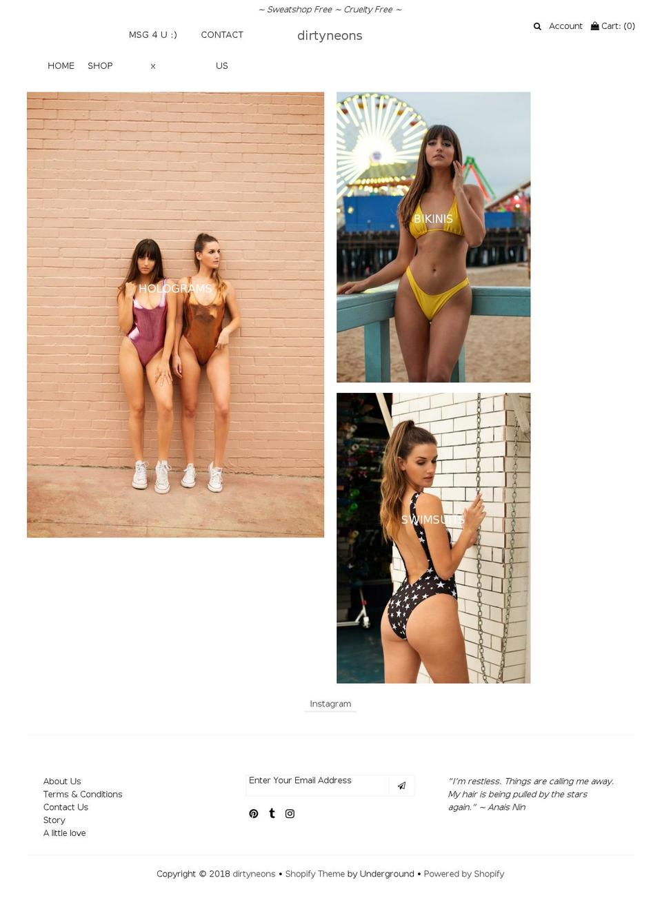 dirtyneons.com — Shopify storefront screenshot