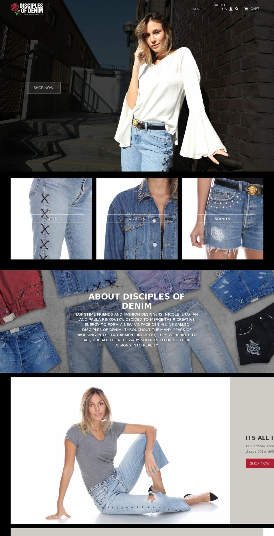 disciples-of-denim.com — Shopify storefront screenshot