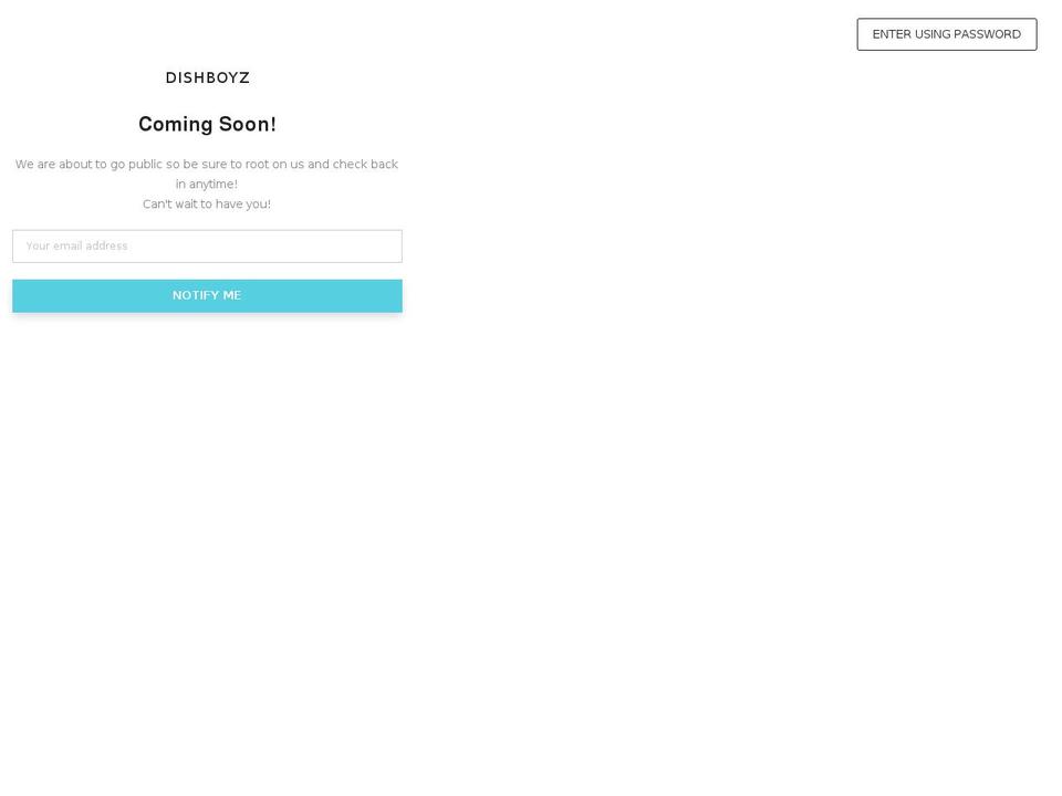 dishboyz.com shopify website screenshot