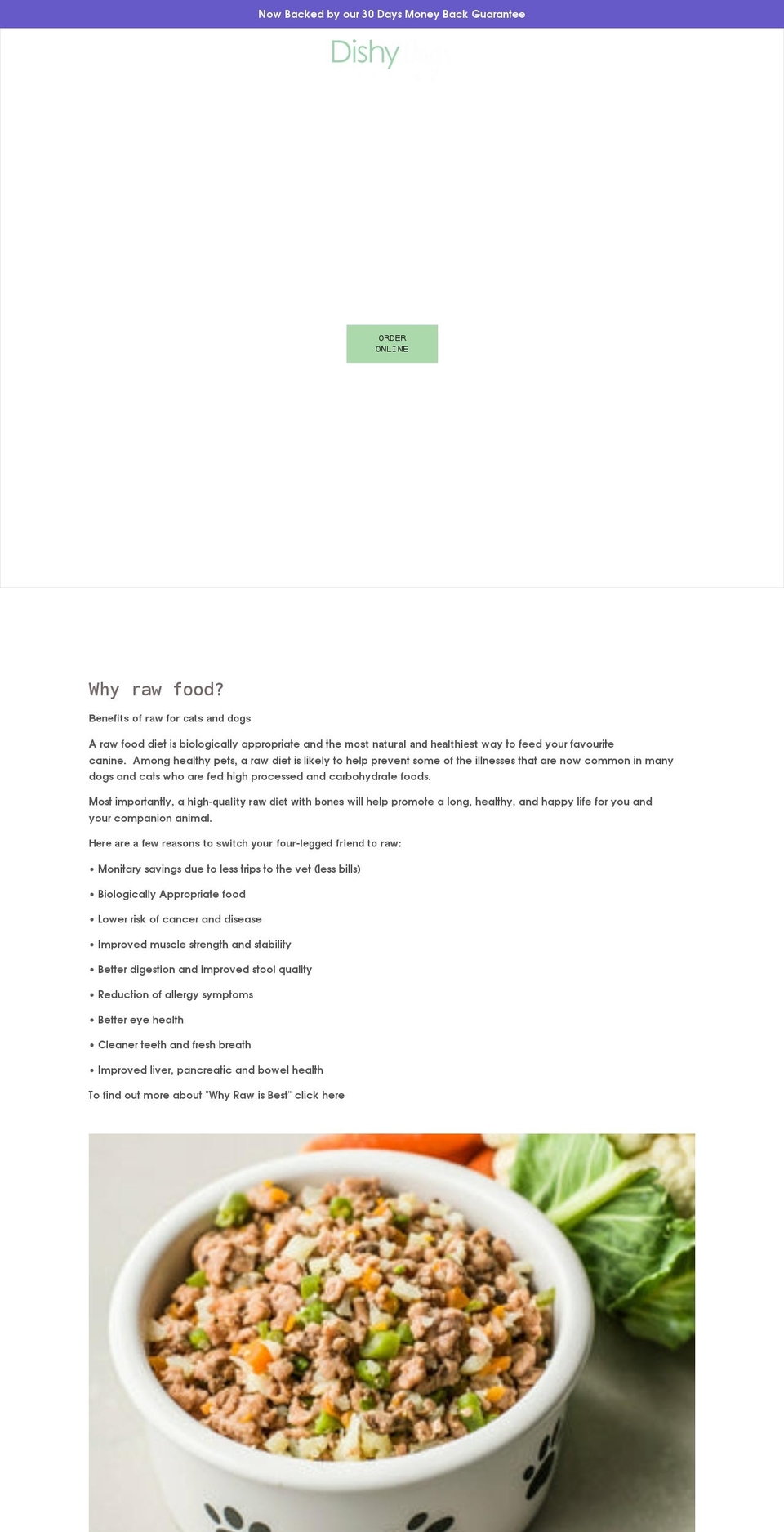 dishydogs.com.au shopify website screenshot
