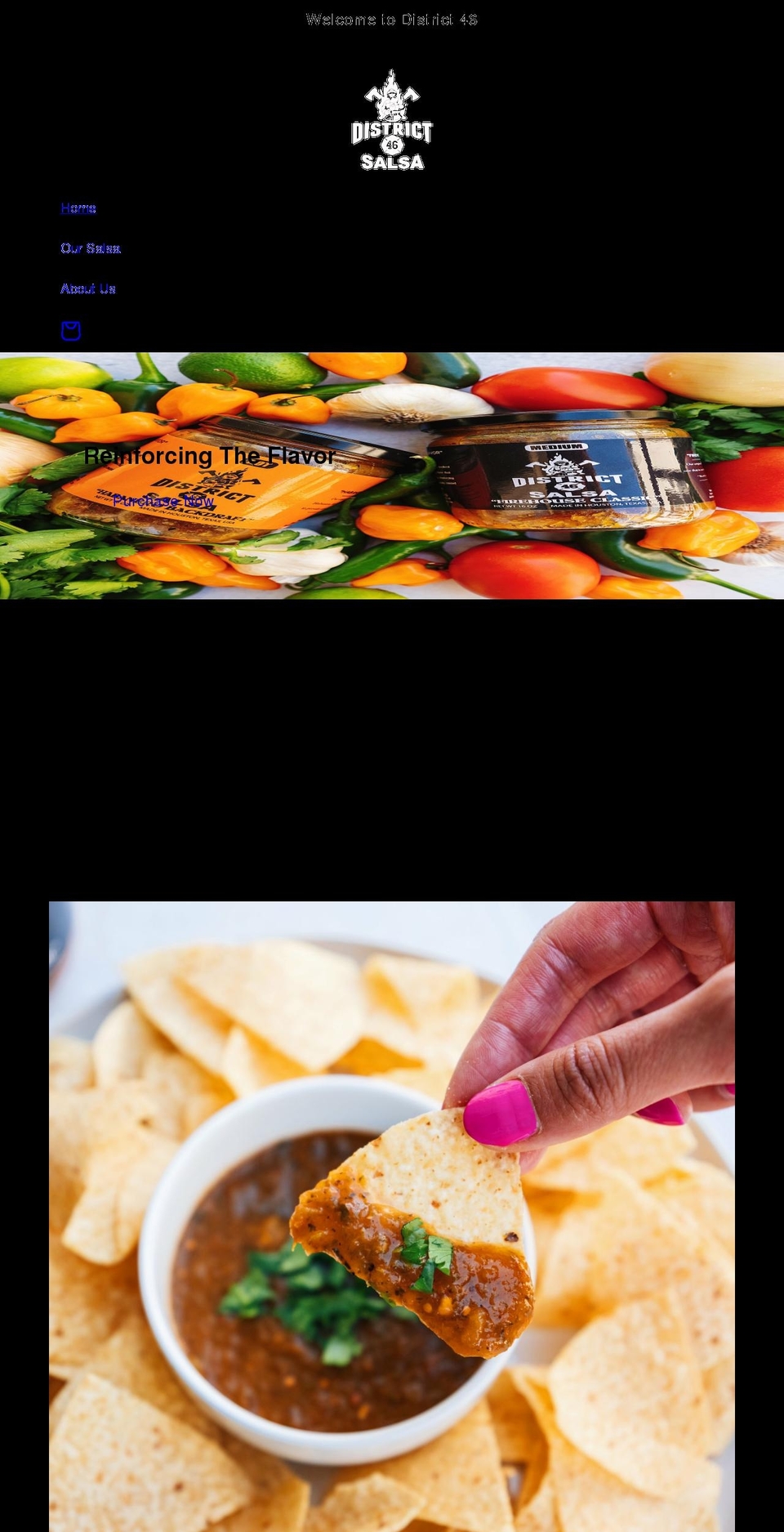 district46salsa.com shopify website screenshot