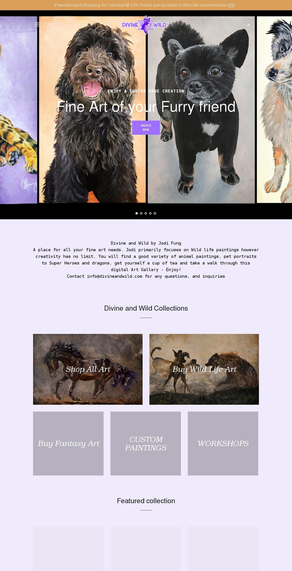 divineandwild.com shopify website screenshot