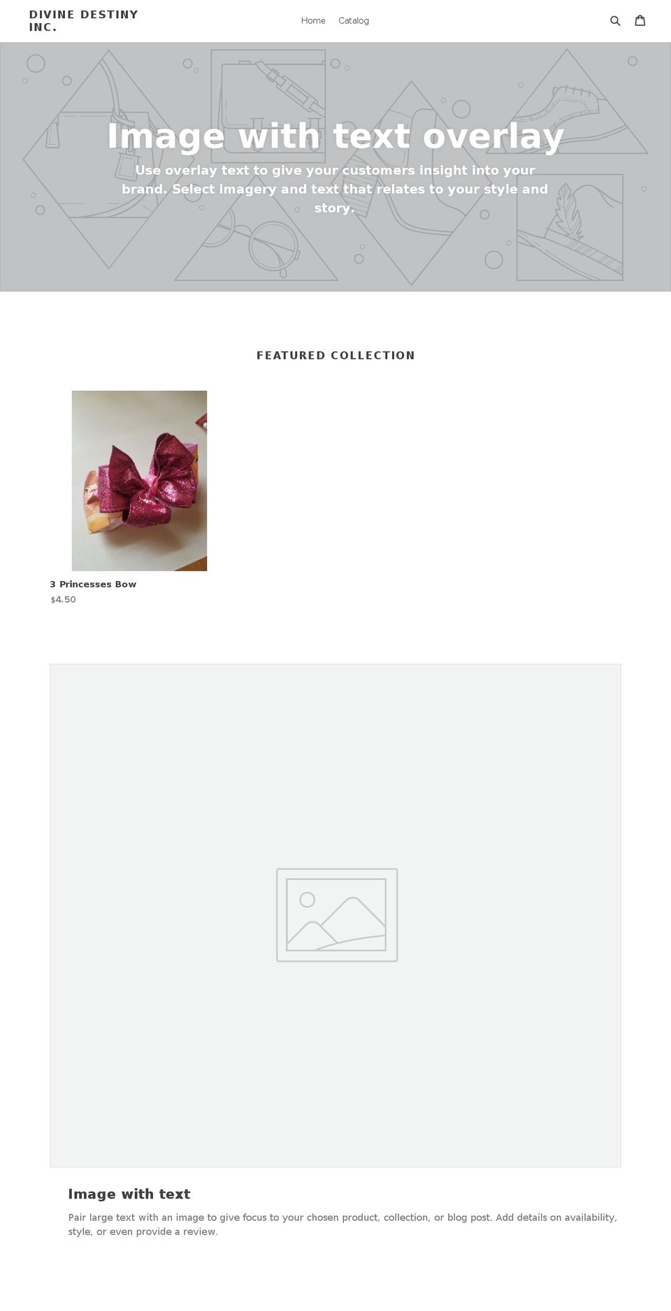divinedestinydesigns.com — Shopify storefront screenshot