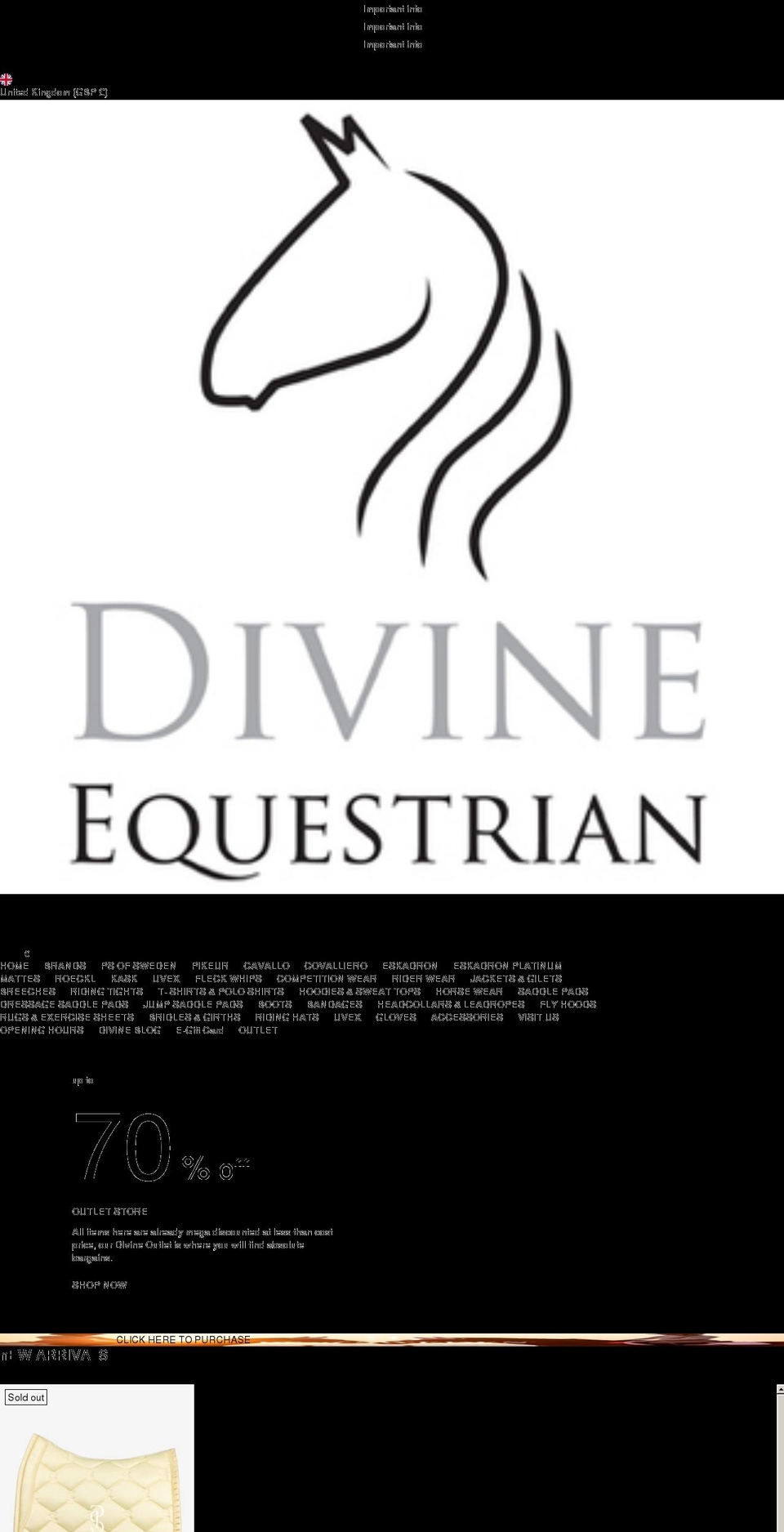 divineequestrian.uk shopify website screenshot