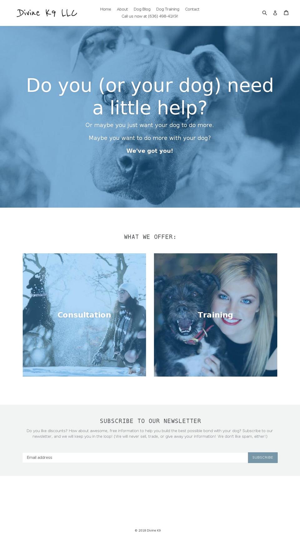 divinek9llc.com — Shopify storefront screenshot