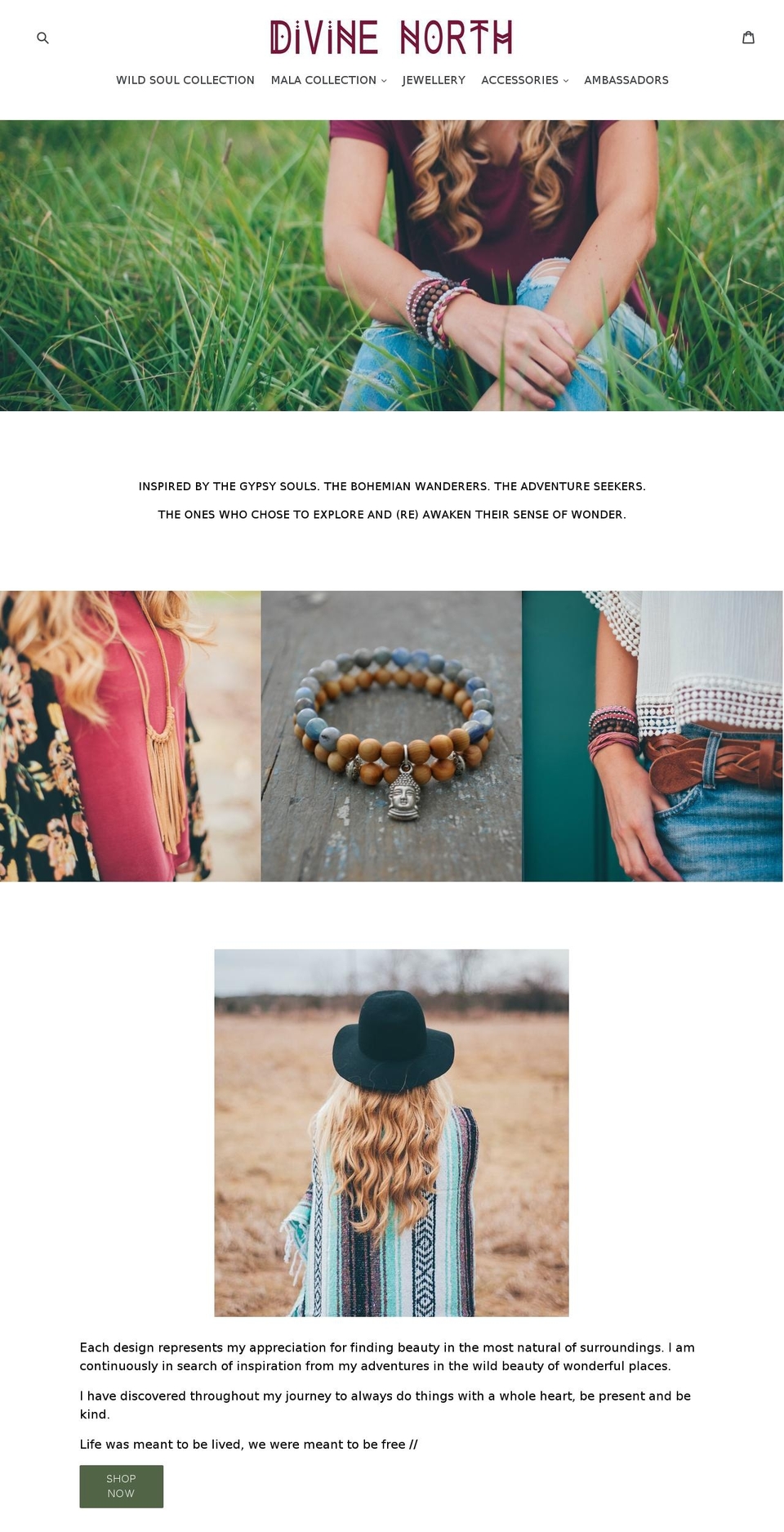 divinenorth.com shopify website screenshot