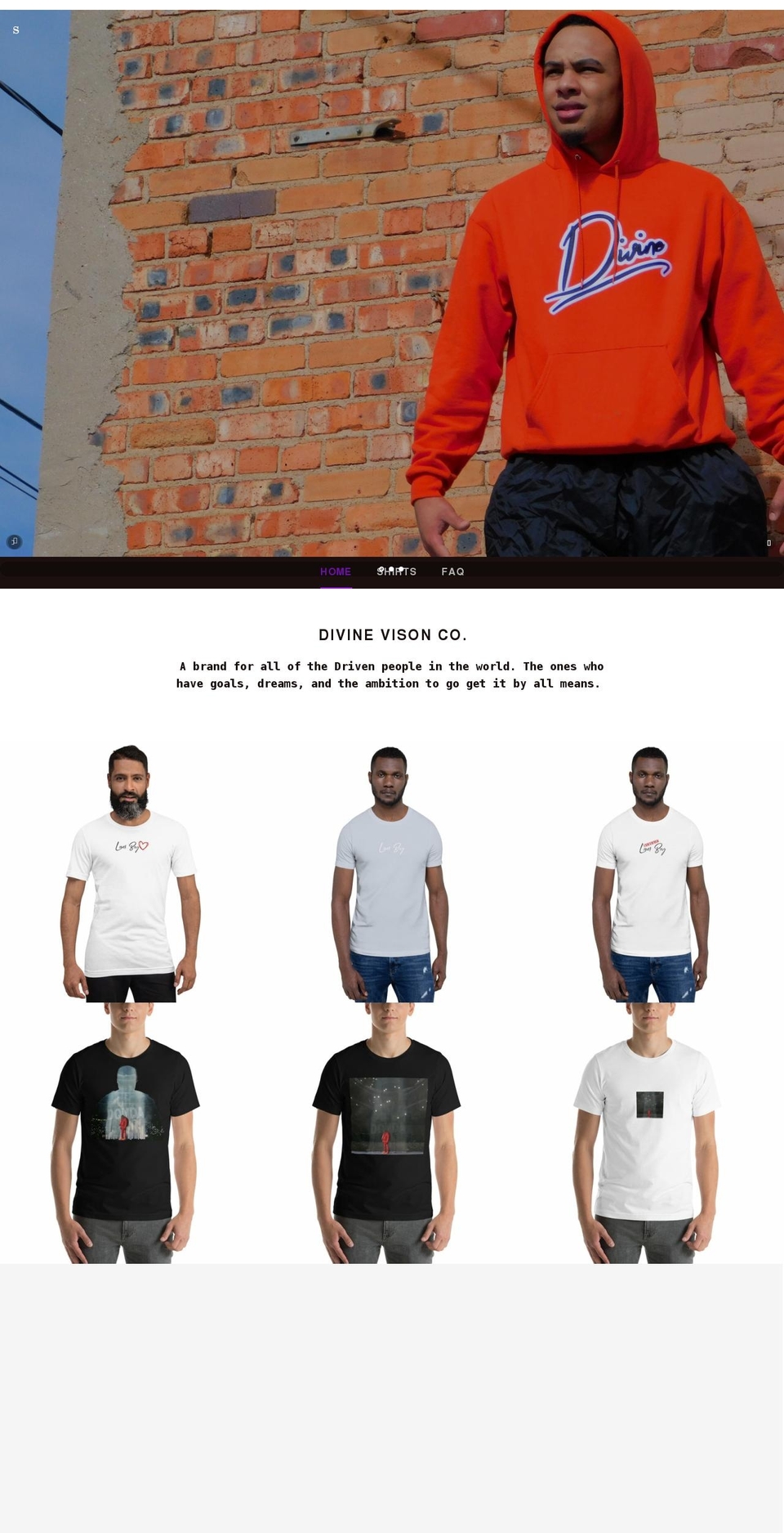divinevisionco.com — Shopify storefront screenshot