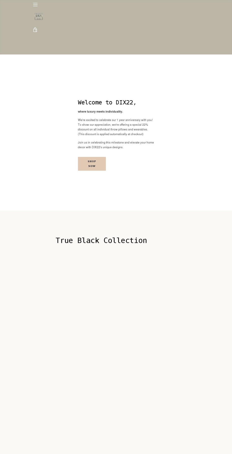 dix22.com shopify website screenshot