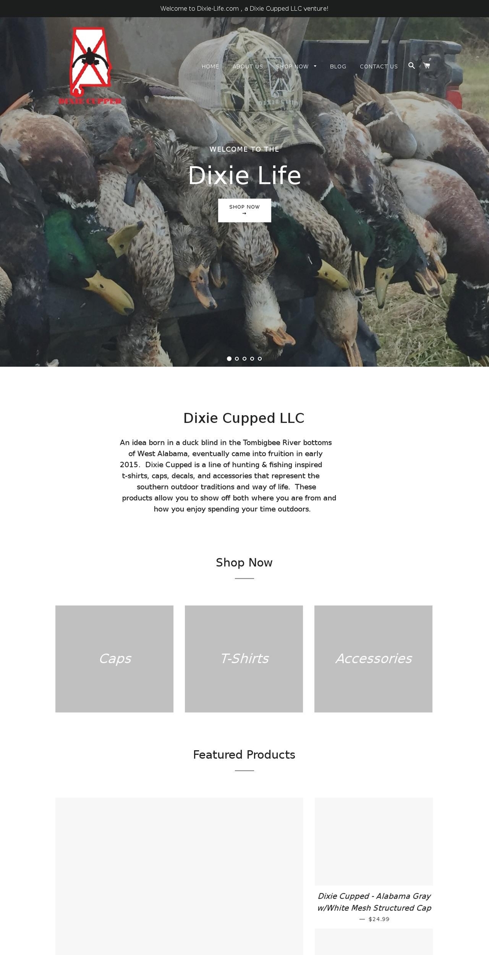 dixie-life.com shopify website screenshot