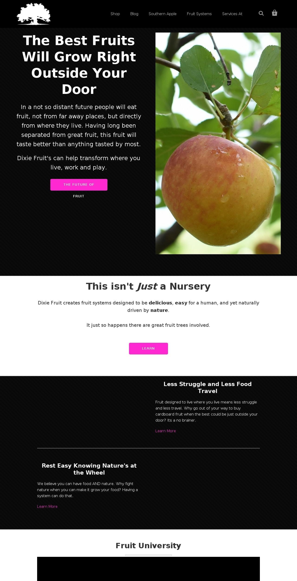 dixiefruits.com shopify website screenshot