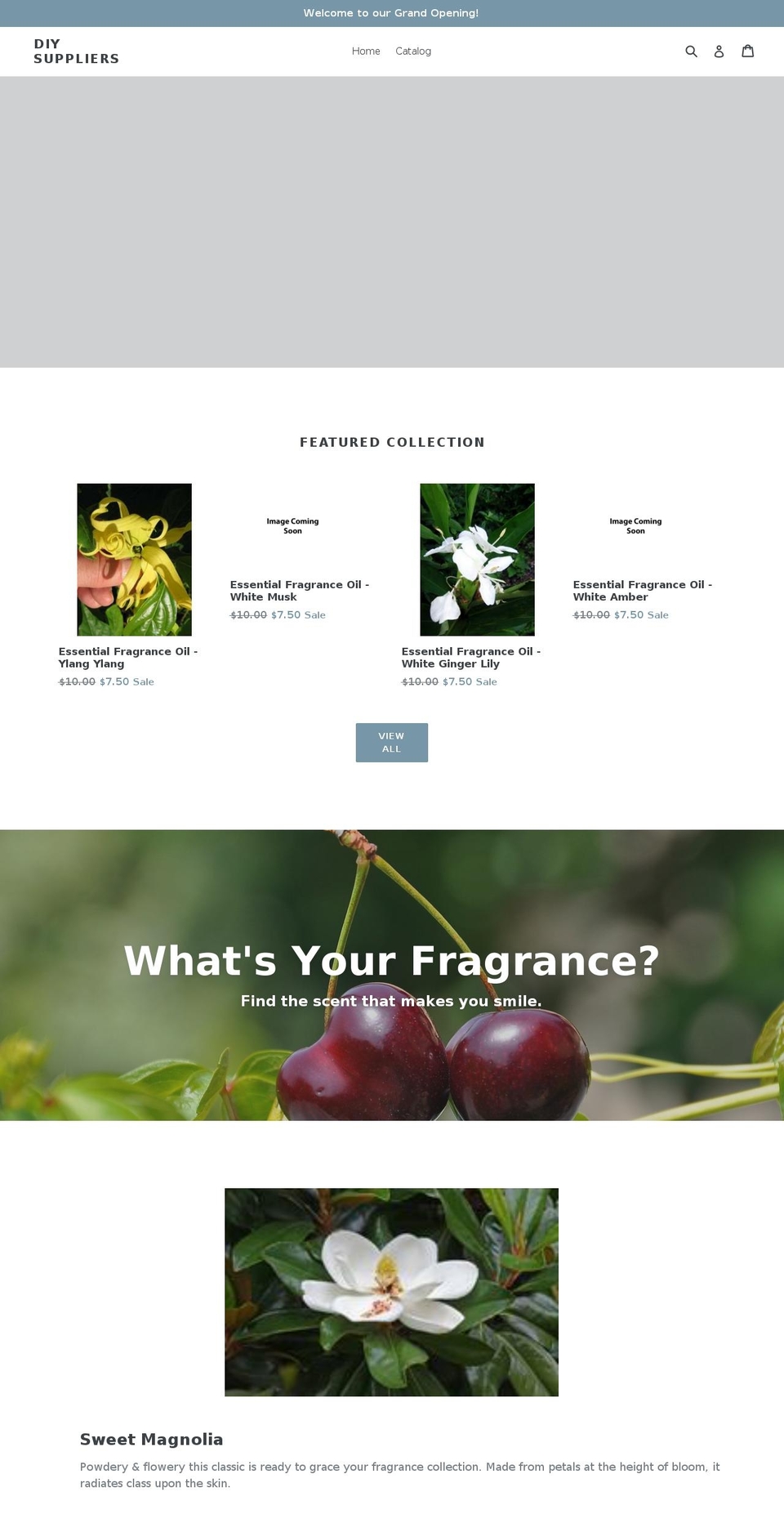 diysuppliers.com — Shopify storefront screenshot