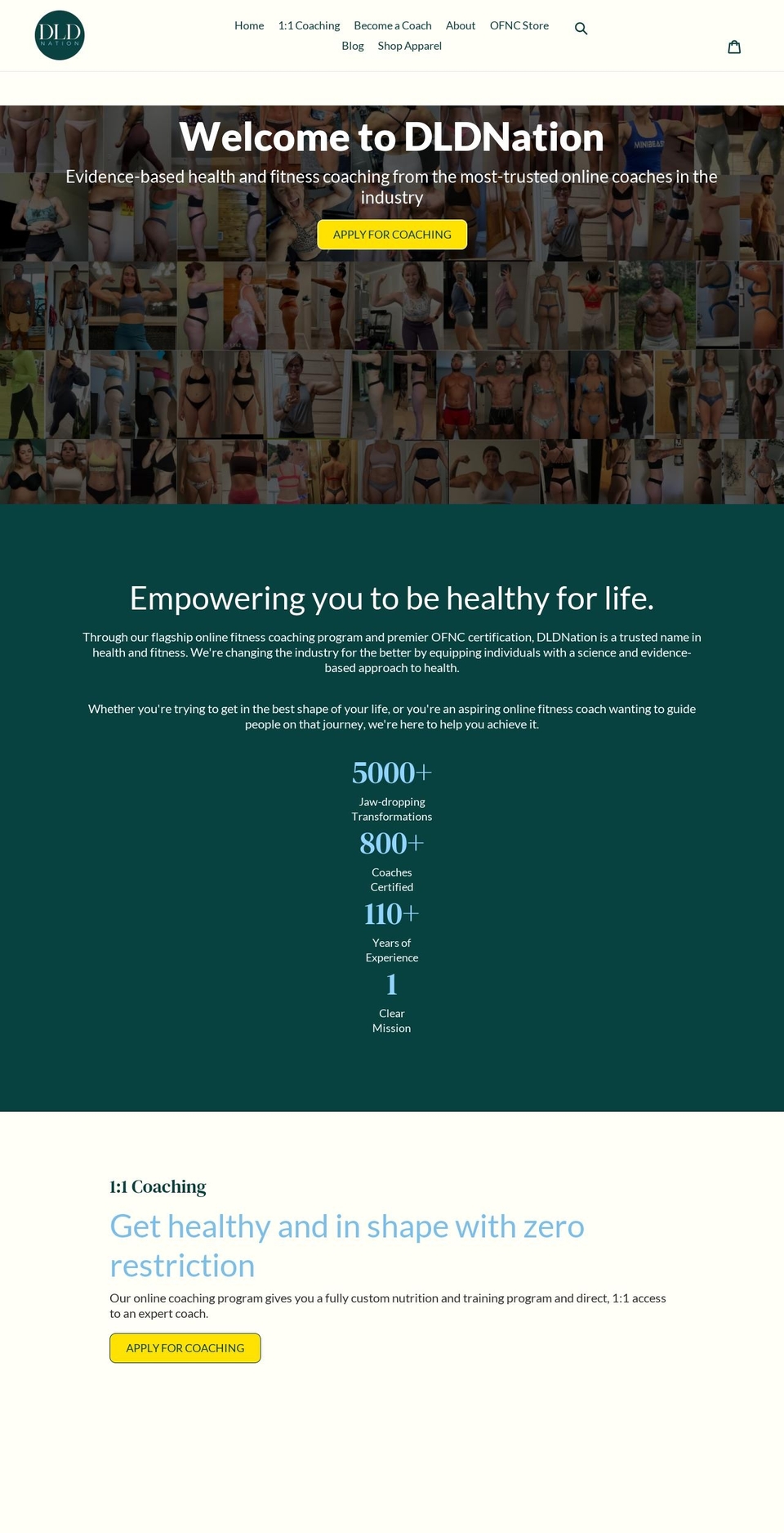 dldnation.com shopify website screenshot