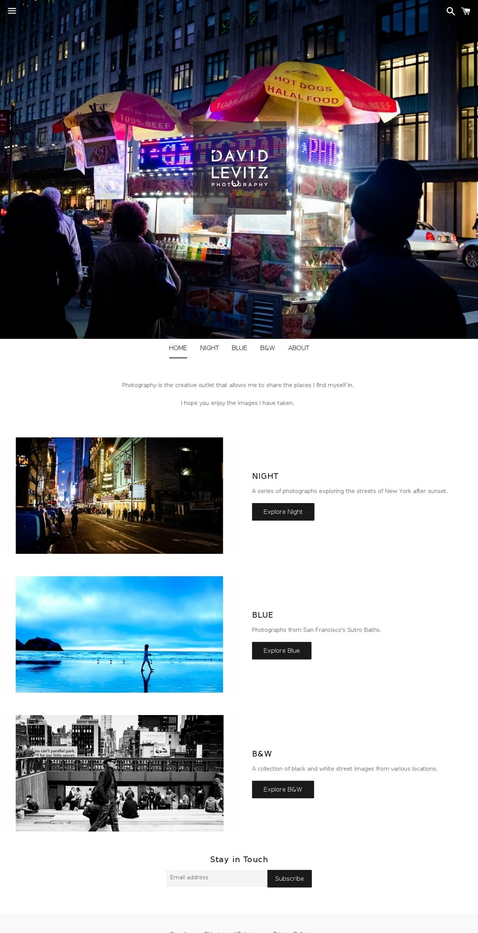 dlevitz.com — Shopify storefront screenshot