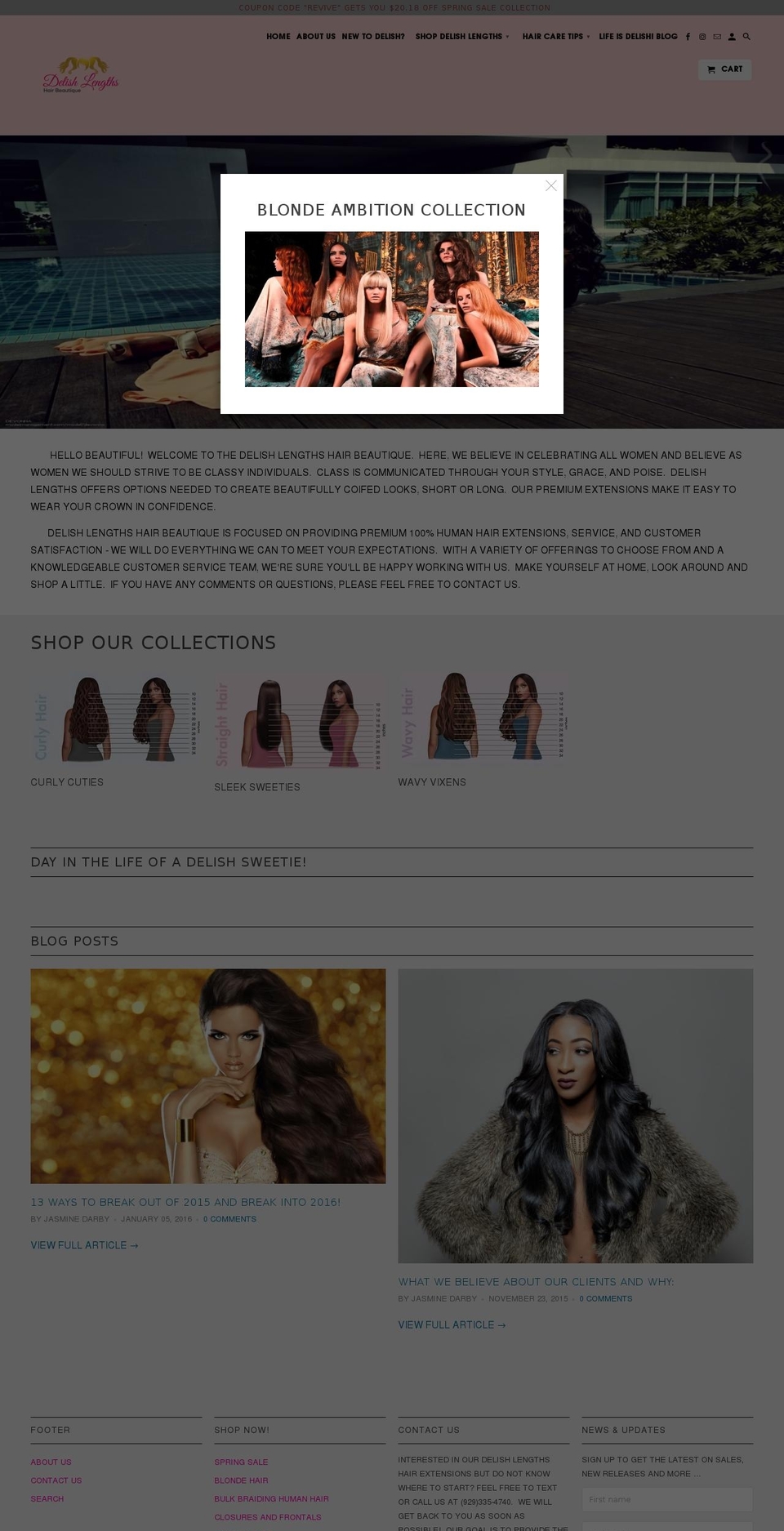 dlhairbeautique.com shopify website screenshot