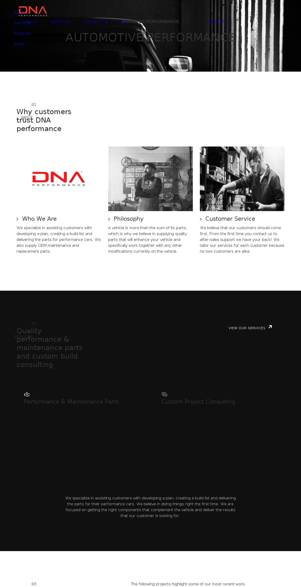 dnaperformancegroup.com shopify website screenshot