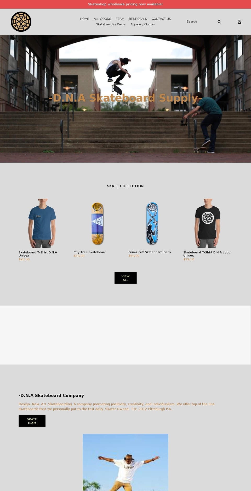dnaskateboardcompany.com shopify website screenshot