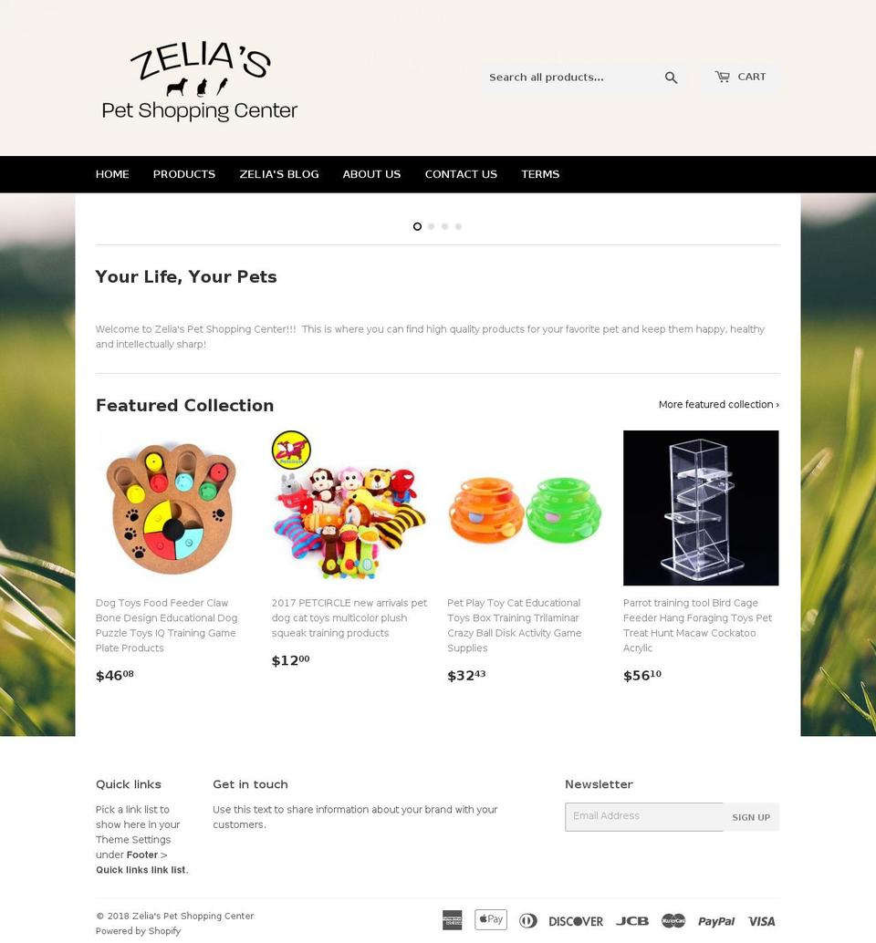dnjshopping.com — Shopify storefront screenshot