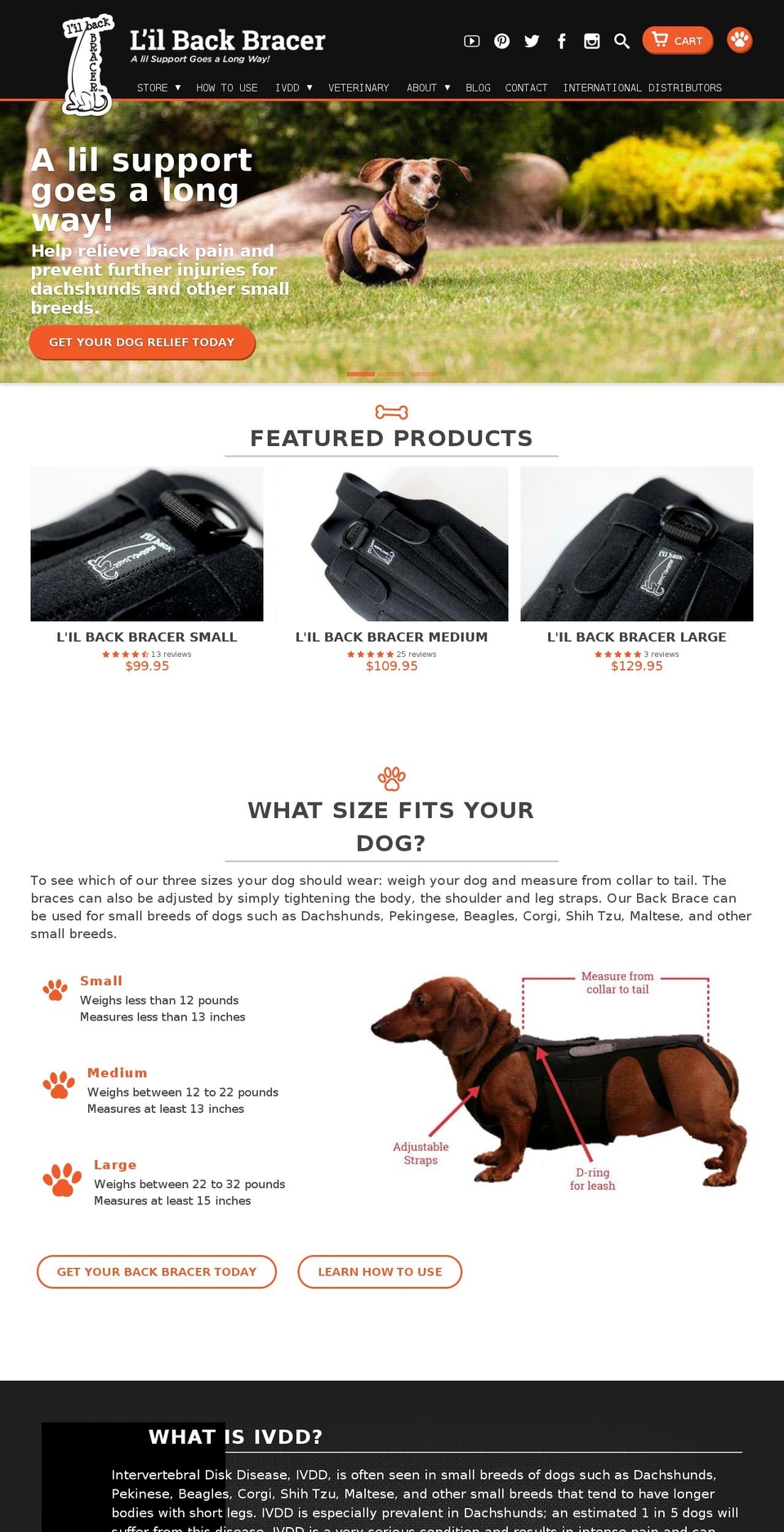 L'il Back Bracer (Based from Retina Theme) Shopify theme site example dogbackbrace.com