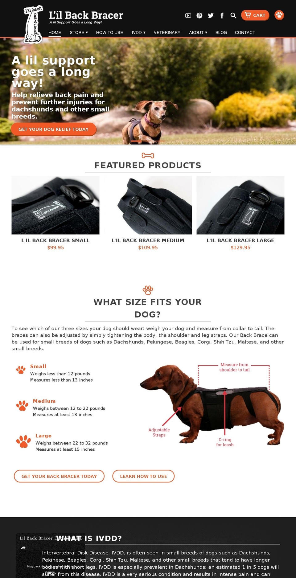 dogbackbrace.org shopify website screenshot