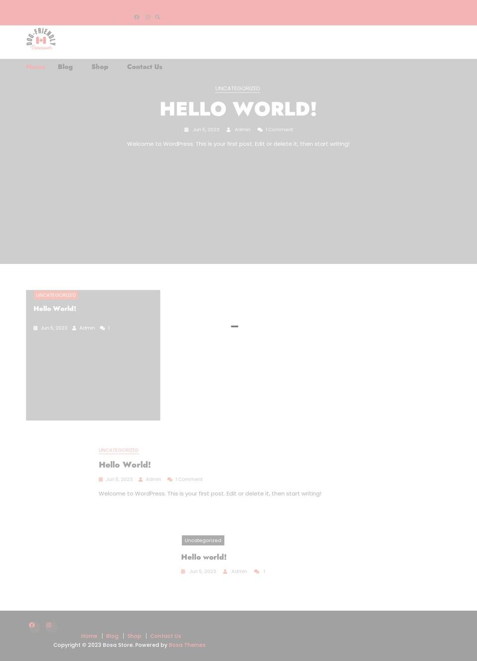 dogfriendlyvancouver.com shopify website screenshot