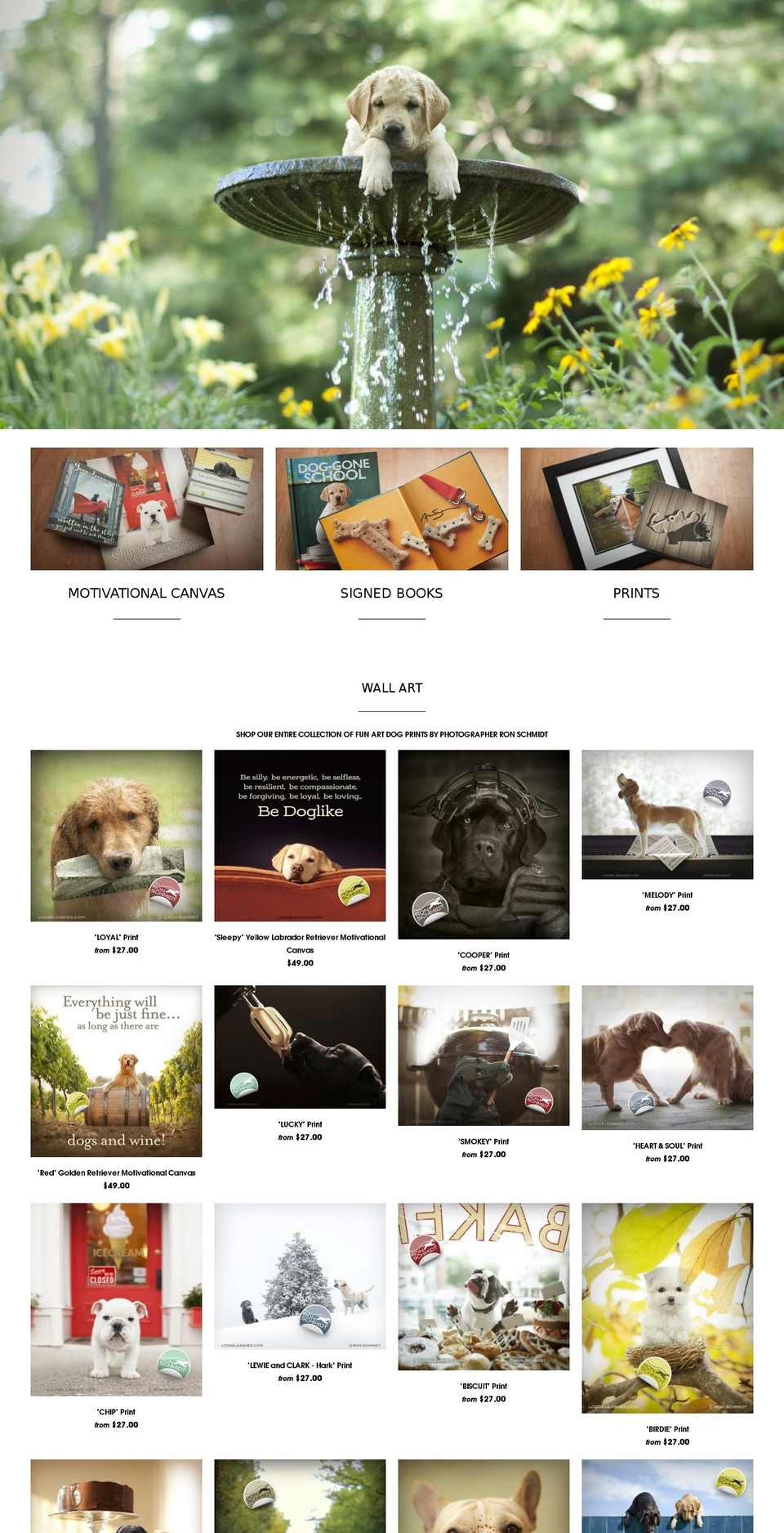 doggoneschool.com shopify website screenshot