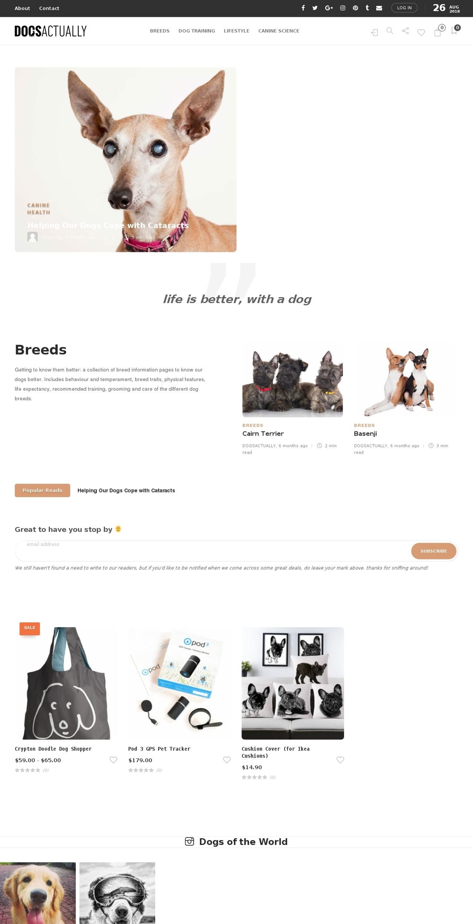 dogsactually.com.sg shopify website screenshot