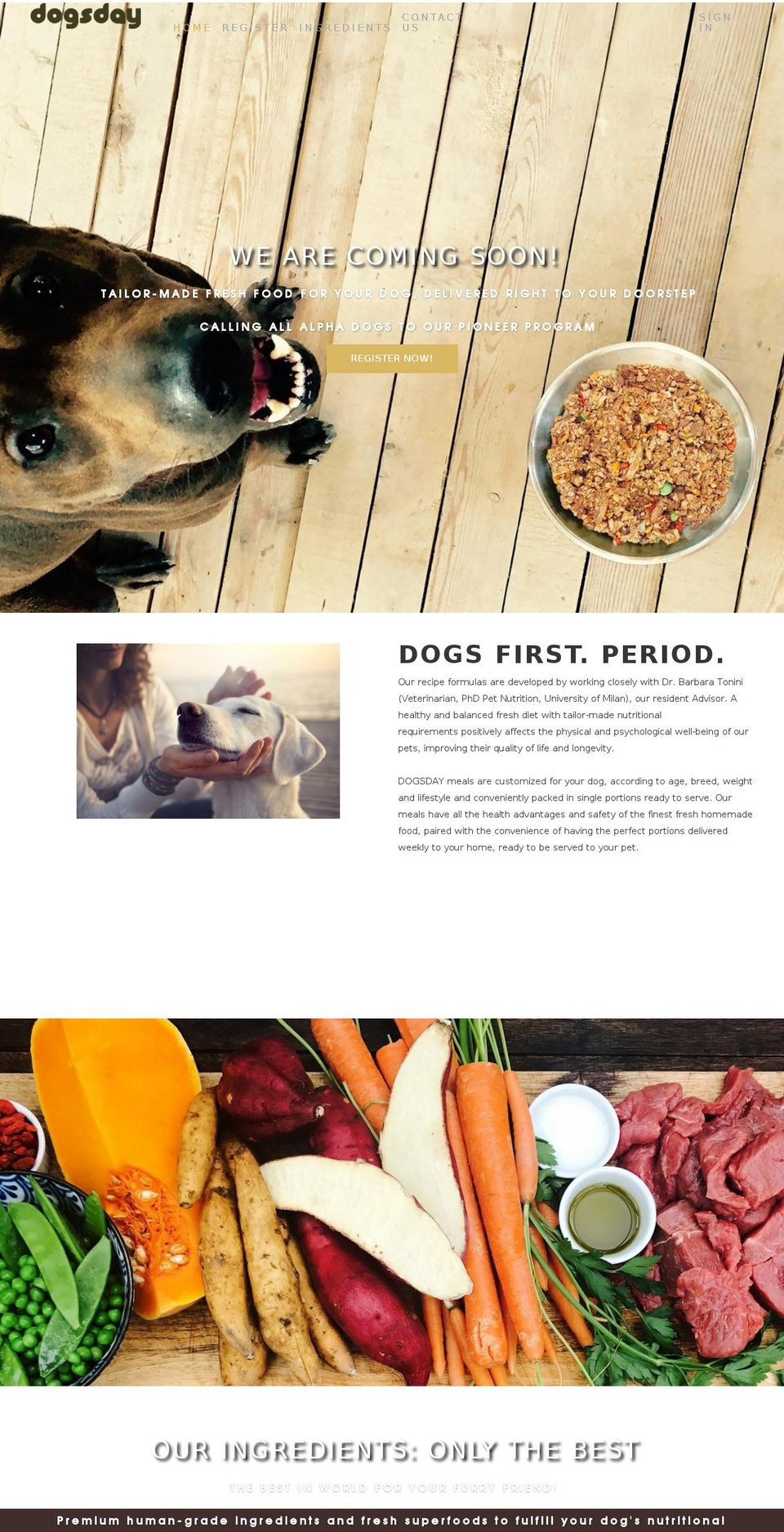 dogsdayplanet.com — Shopify storefront screenshot