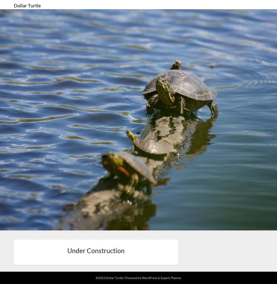 dollarturtle.com — Shopify storefront screenshot