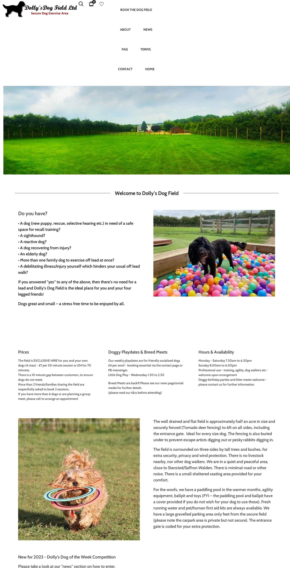 Shia Shopify theme site example dollysdogfield.co.uk