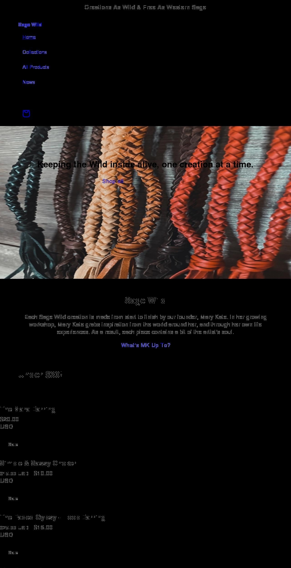 dolphinitestore.myshopify.com shopify website screenshot