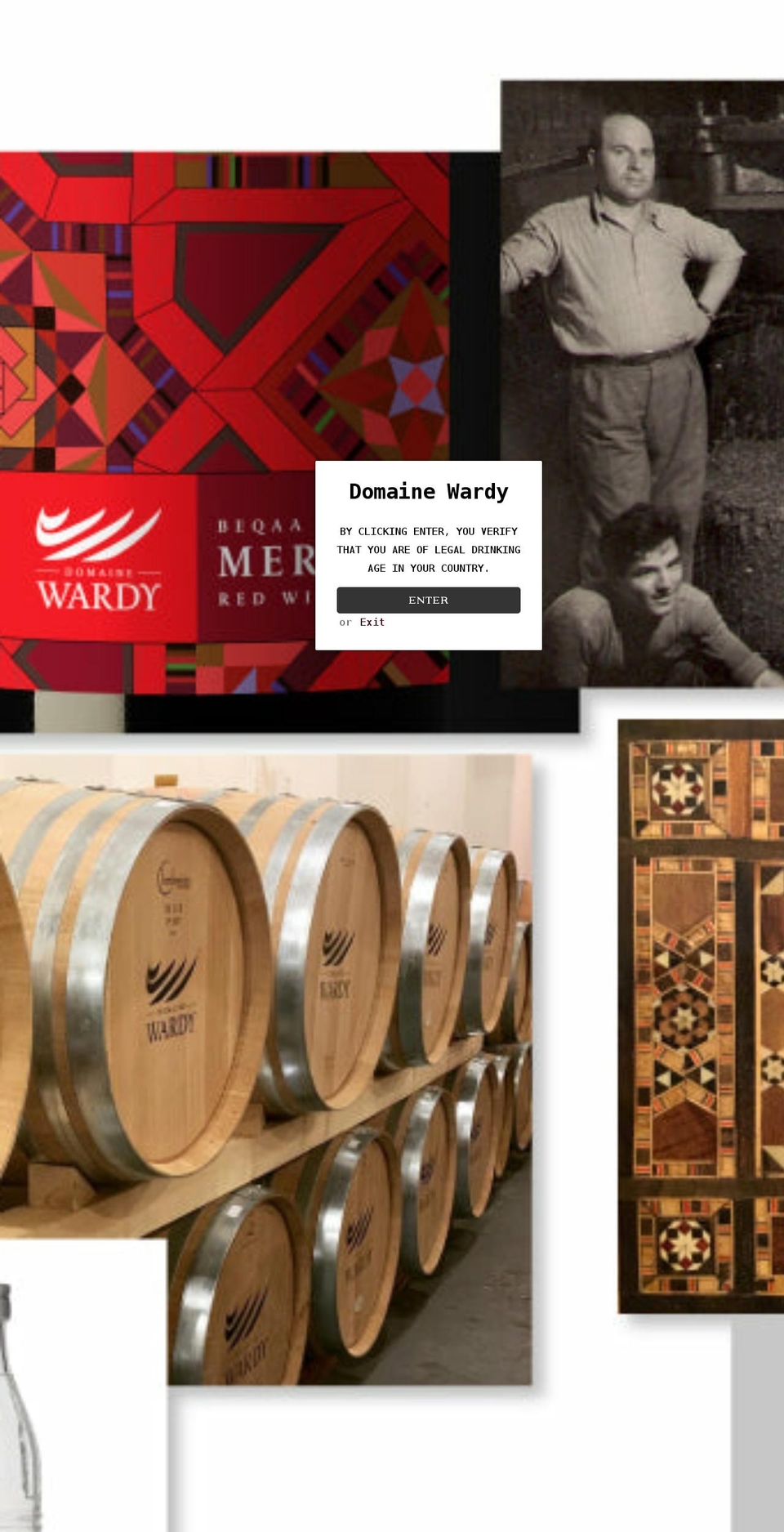 domainewardy.com shopify website screenshot