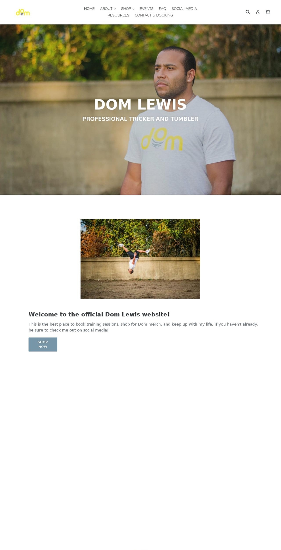 domitrick.com — Shopify storefront screenshot
