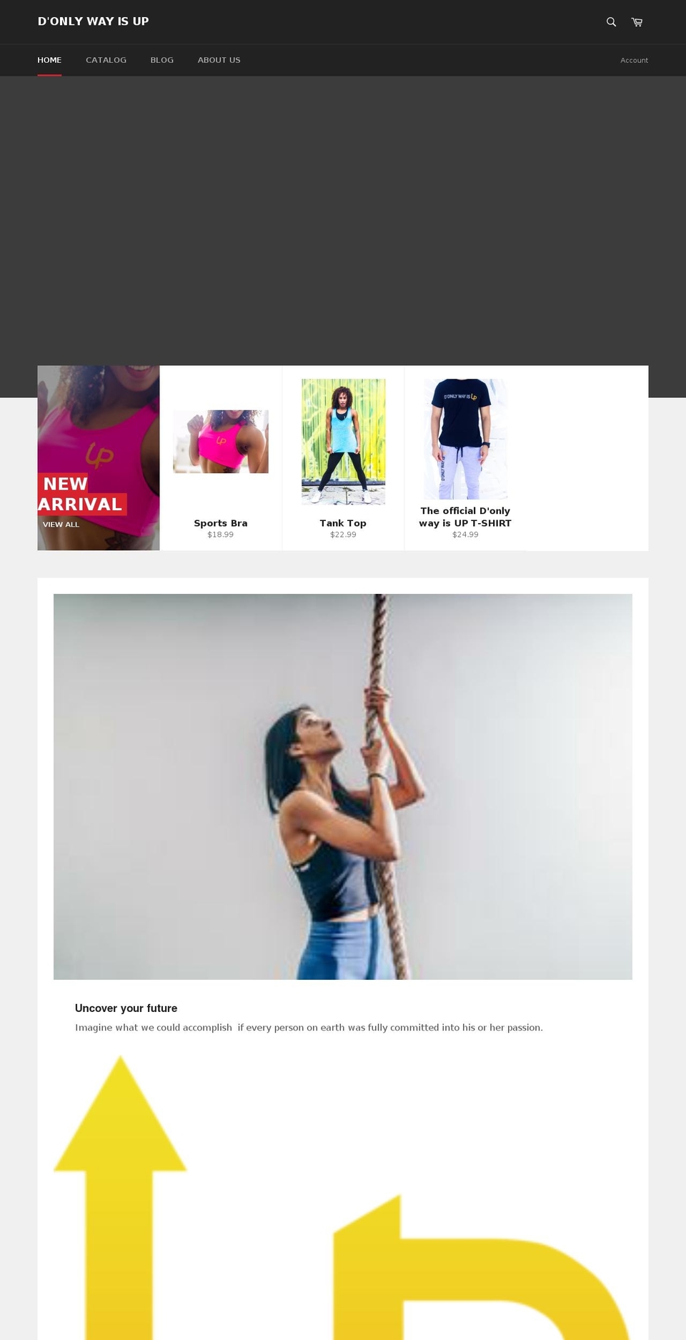 donlywayisup.com shopify website screenshot