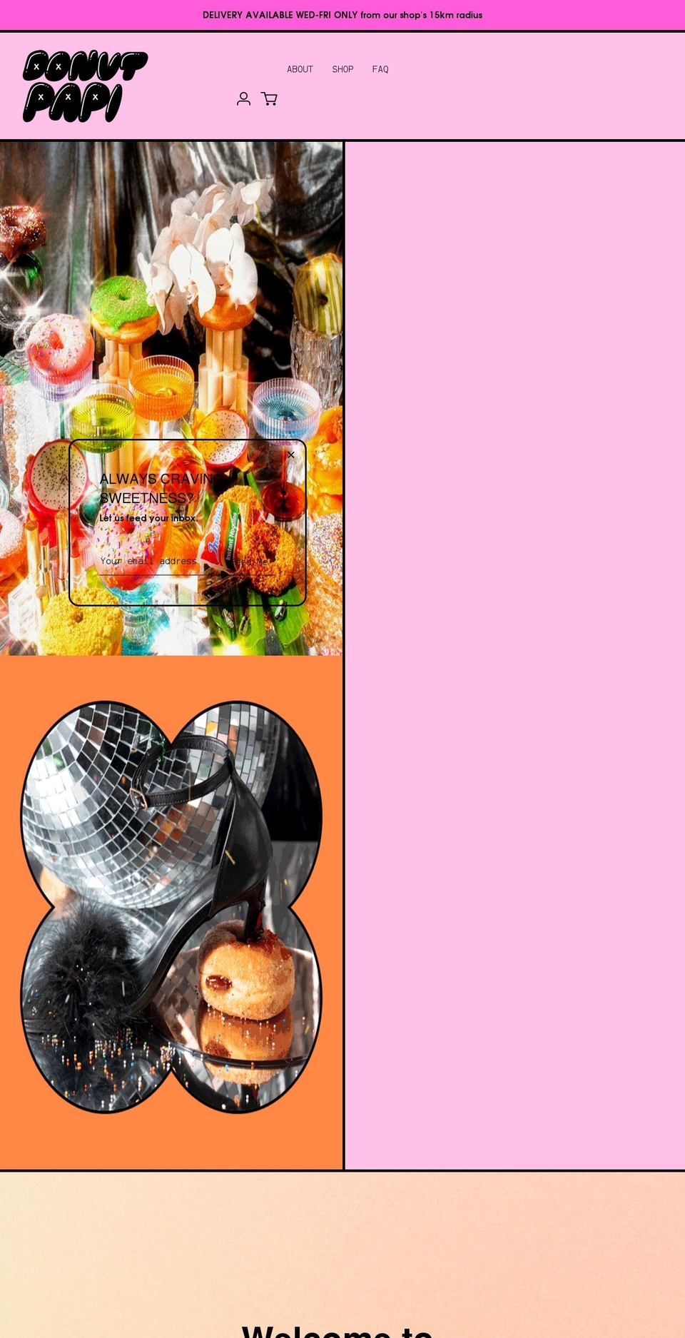 donutpapi.com shopify website screenshot