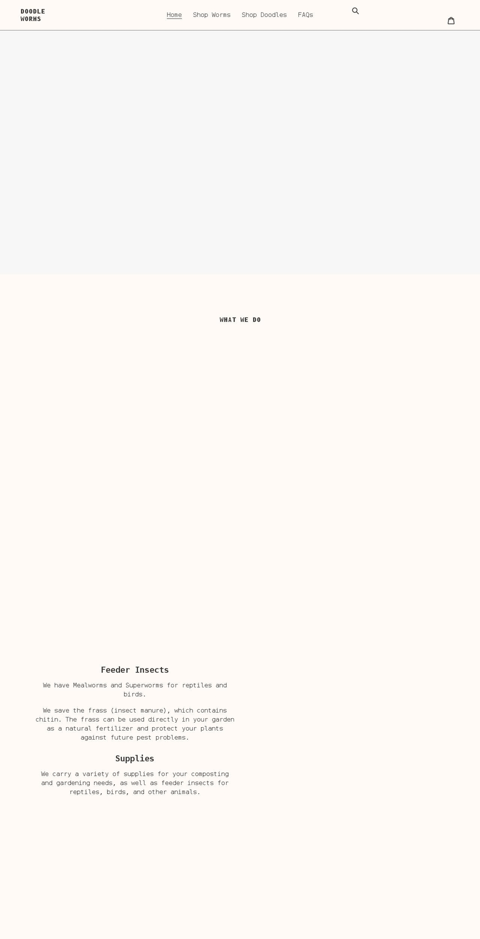 doodleworms.com shopify website screenshot