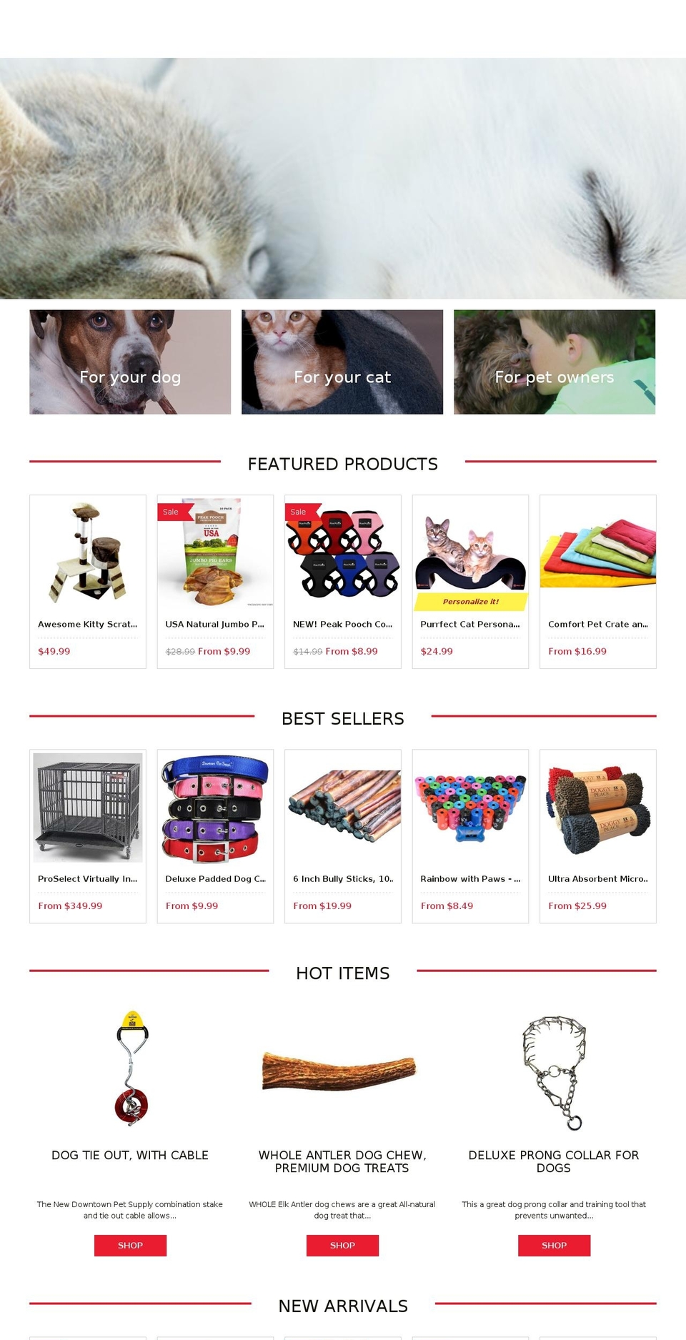 downtownpetsupply.com shopify website screenshot