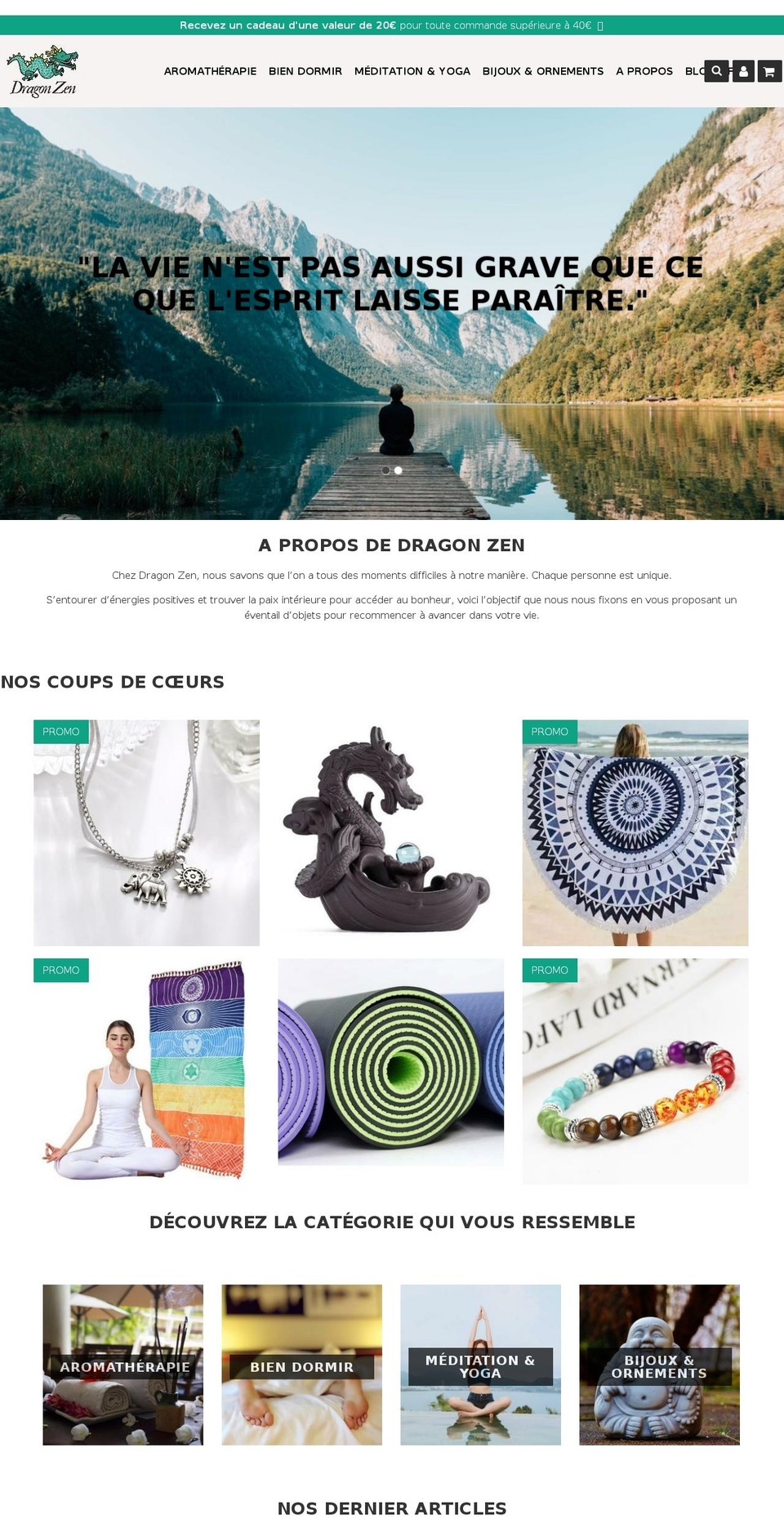 dragon-zen.com shopify website screenshot