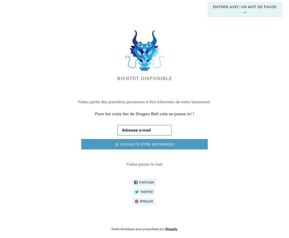 dragonshop.org shopify website screenshot