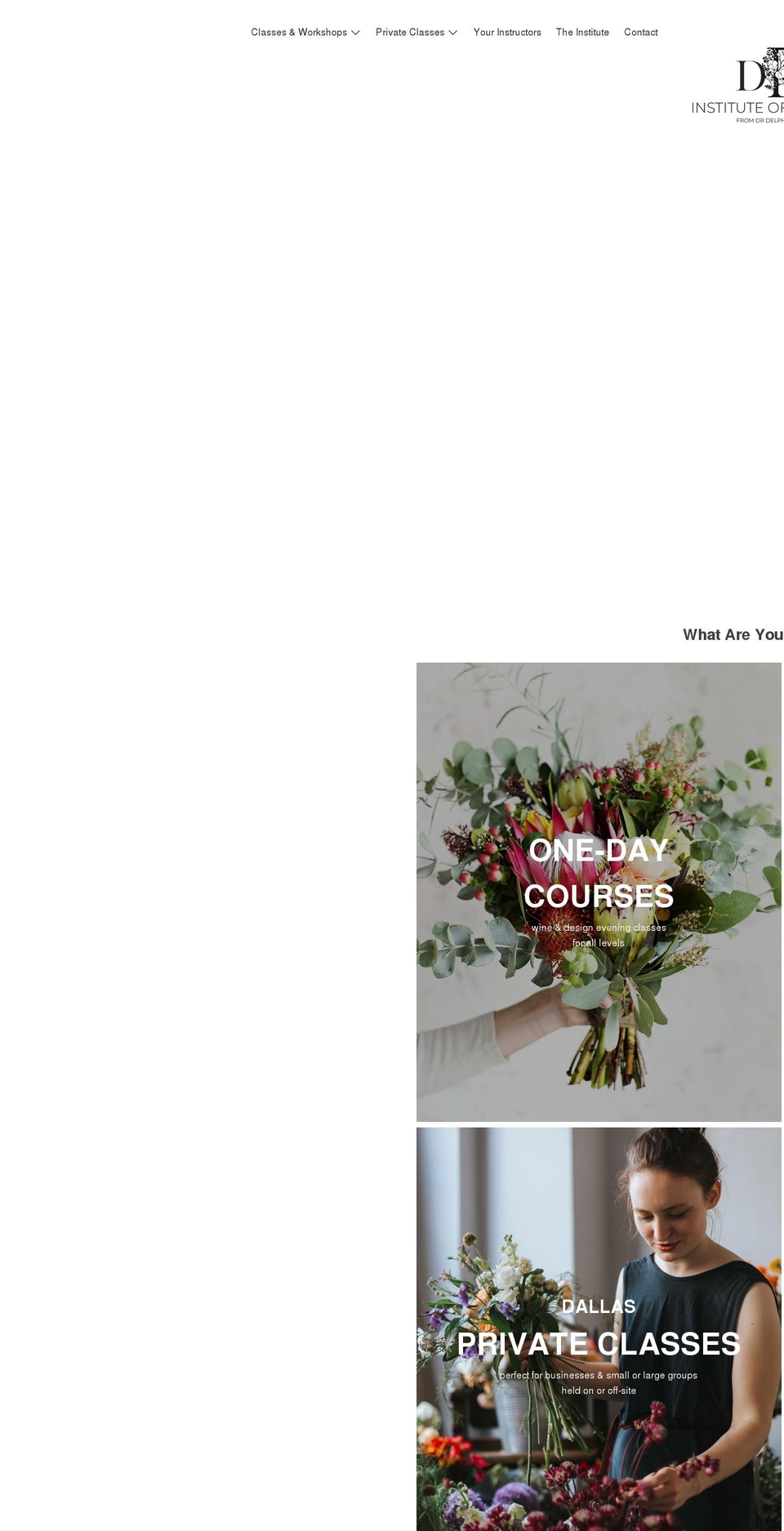 drdinstitute.com shopify website screenshot