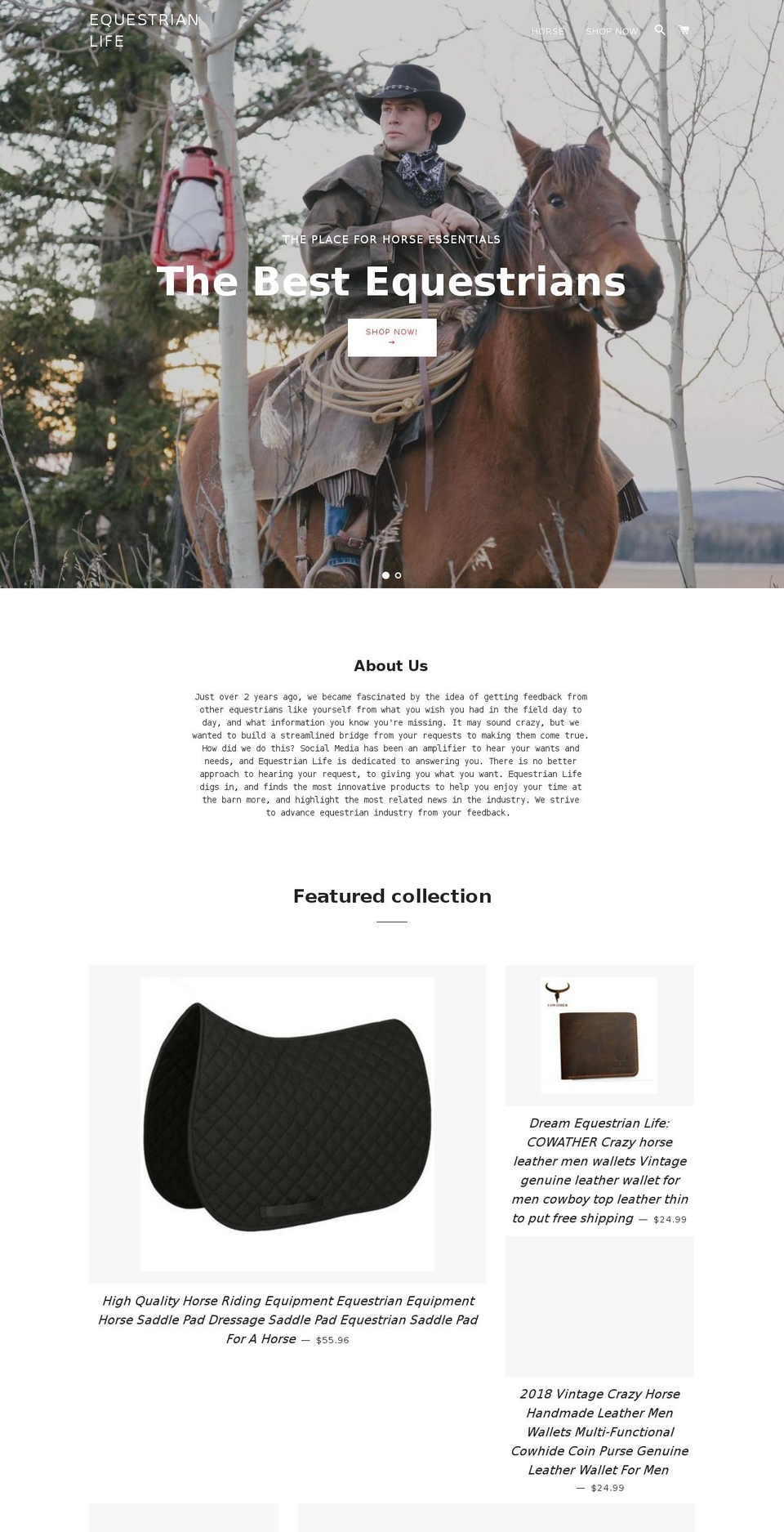 dreamequestrianlife.com — Shopify storefront screenshot
