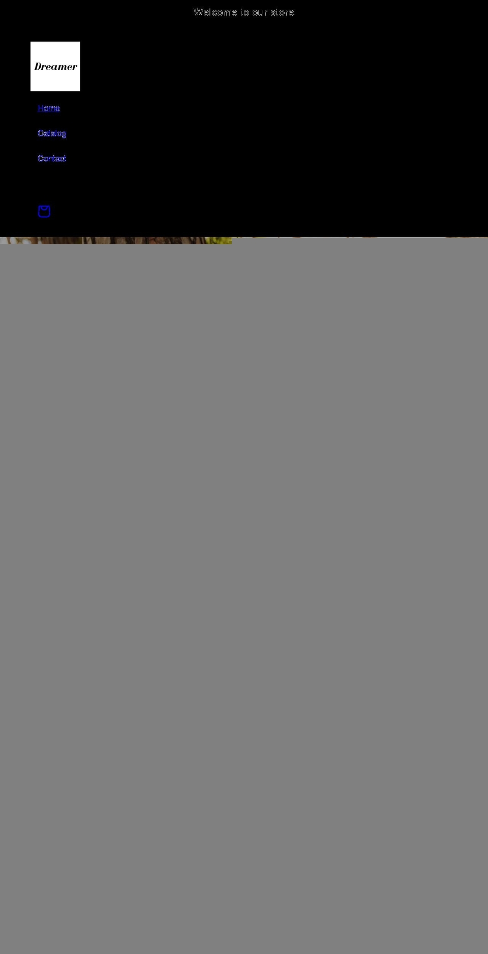 dreamer-store.com shopify website screenshot