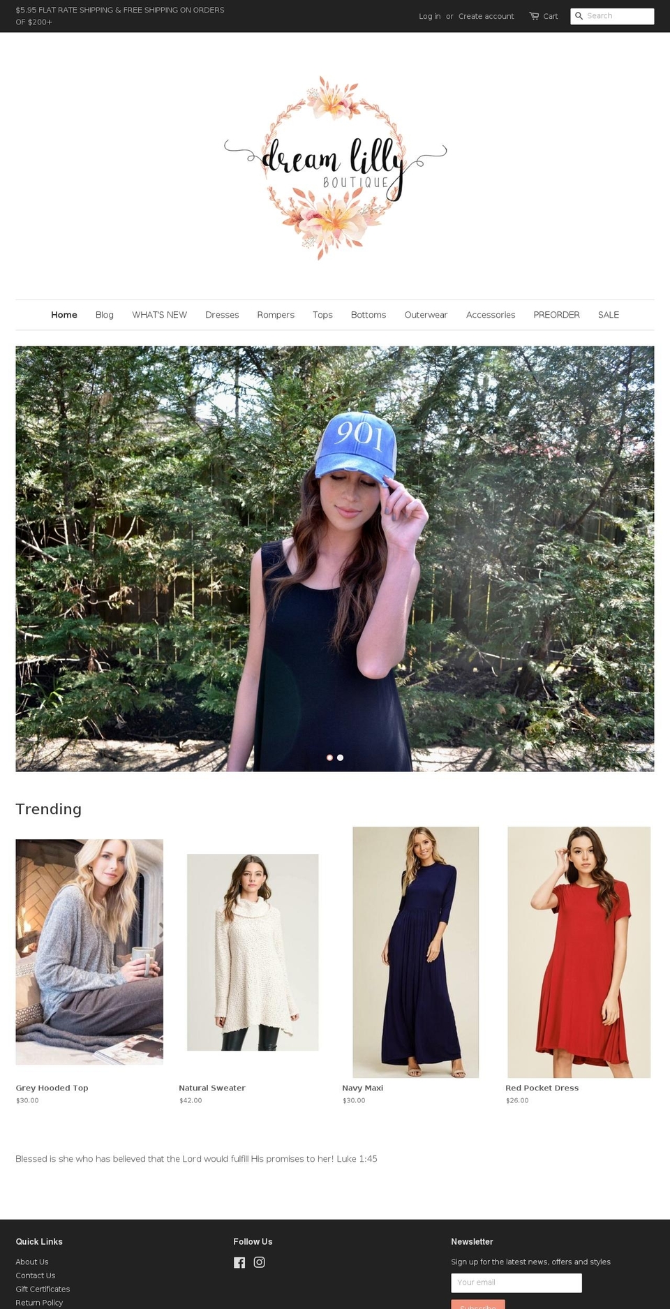 dreamlillyboutique.com — Shopify storefront screenshot