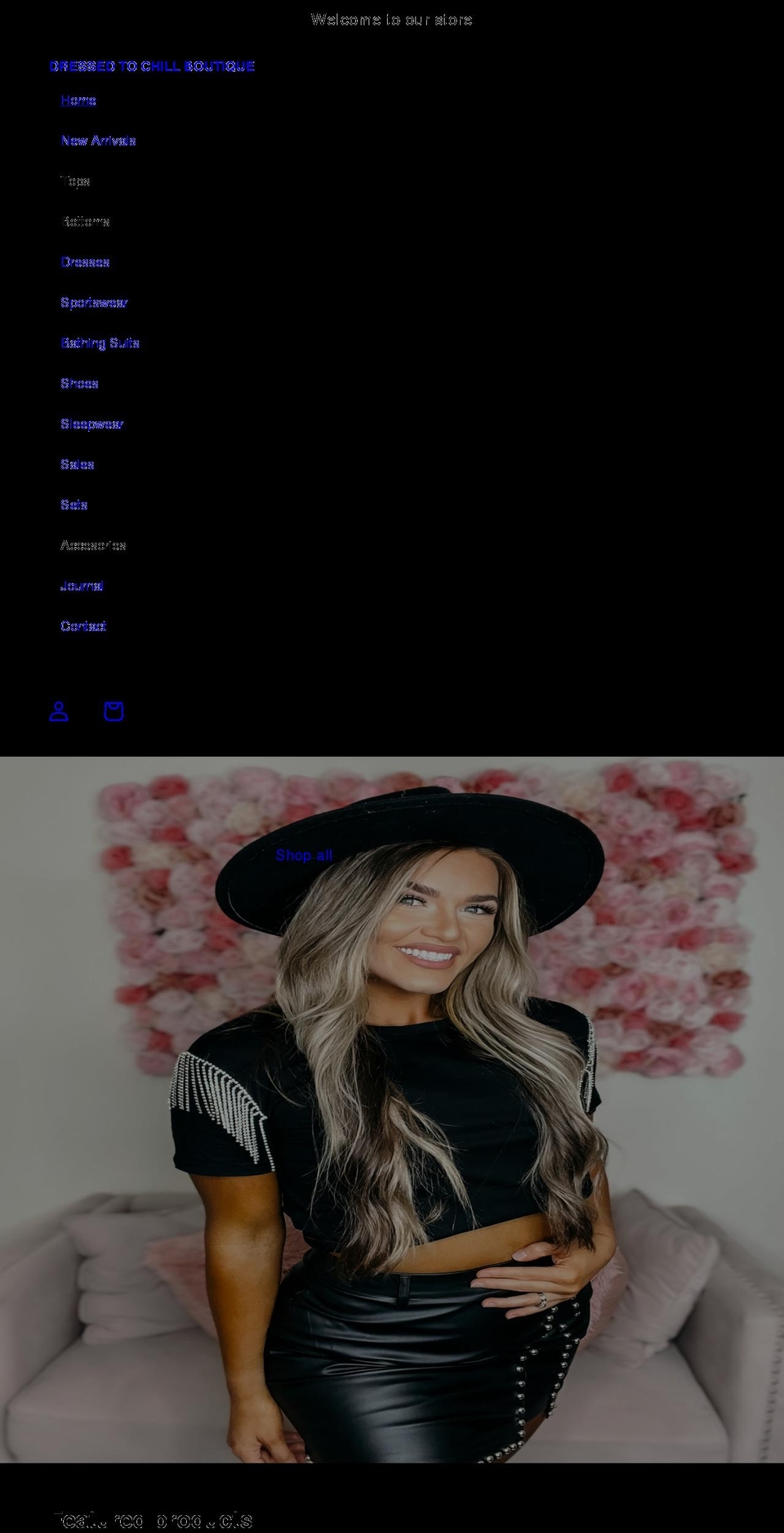 dressedtochillboutique.com shopify website screenshot