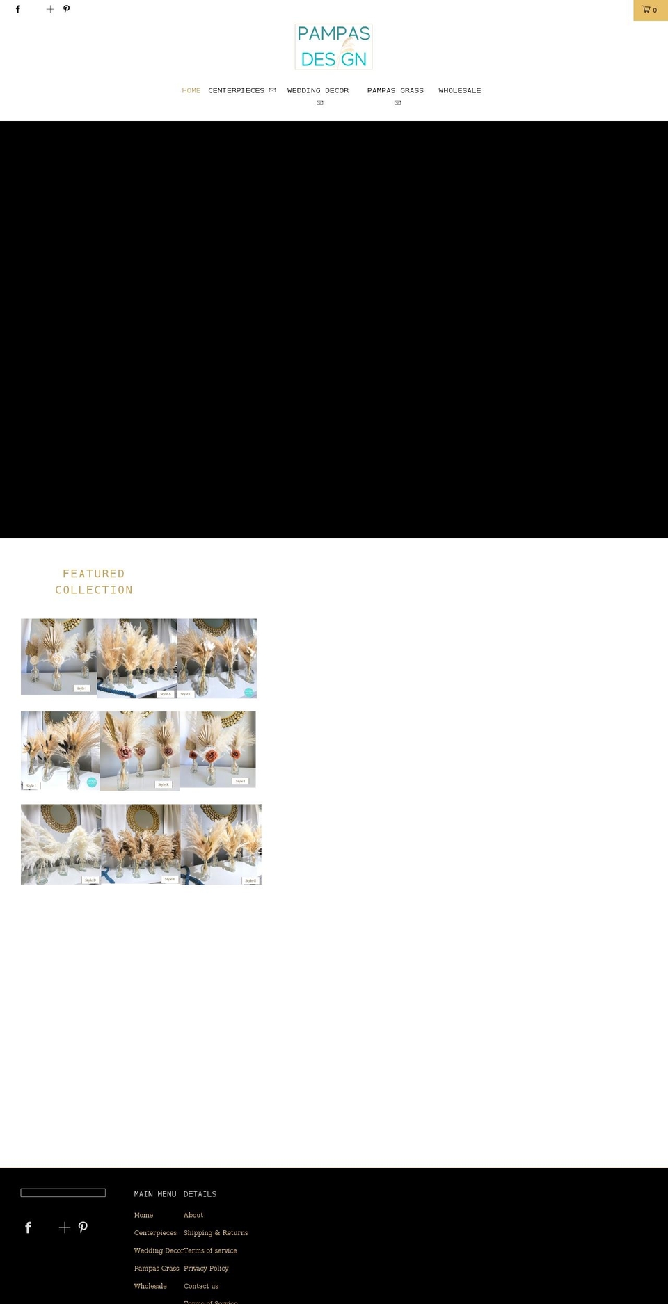 driedpampasgrass.com shopify website screenshot