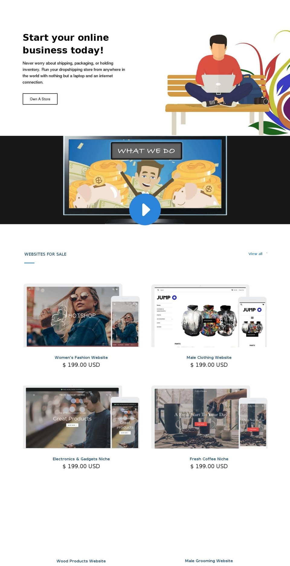 dropshipforsale.com shopify website screenshot