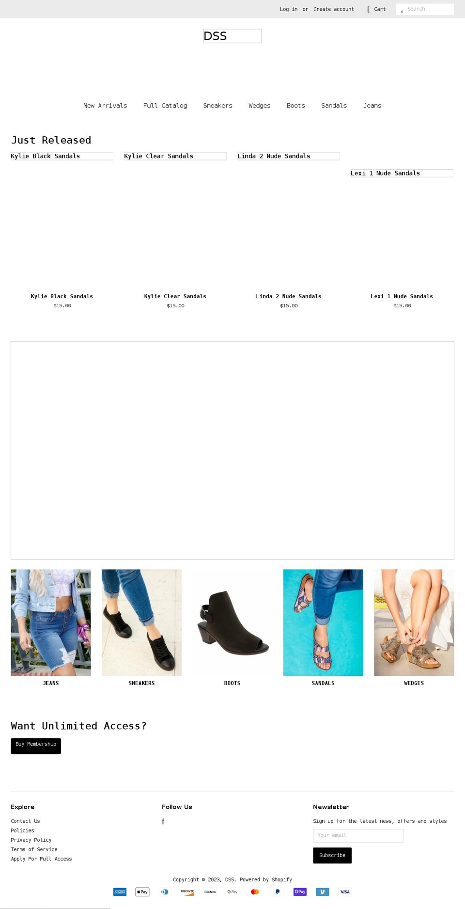dropshipshoe.com shopify website screenshot