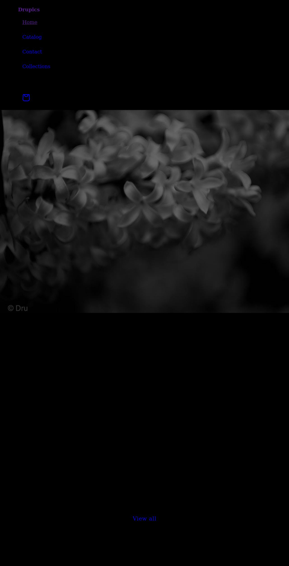 drupics.com shopify website screenshot