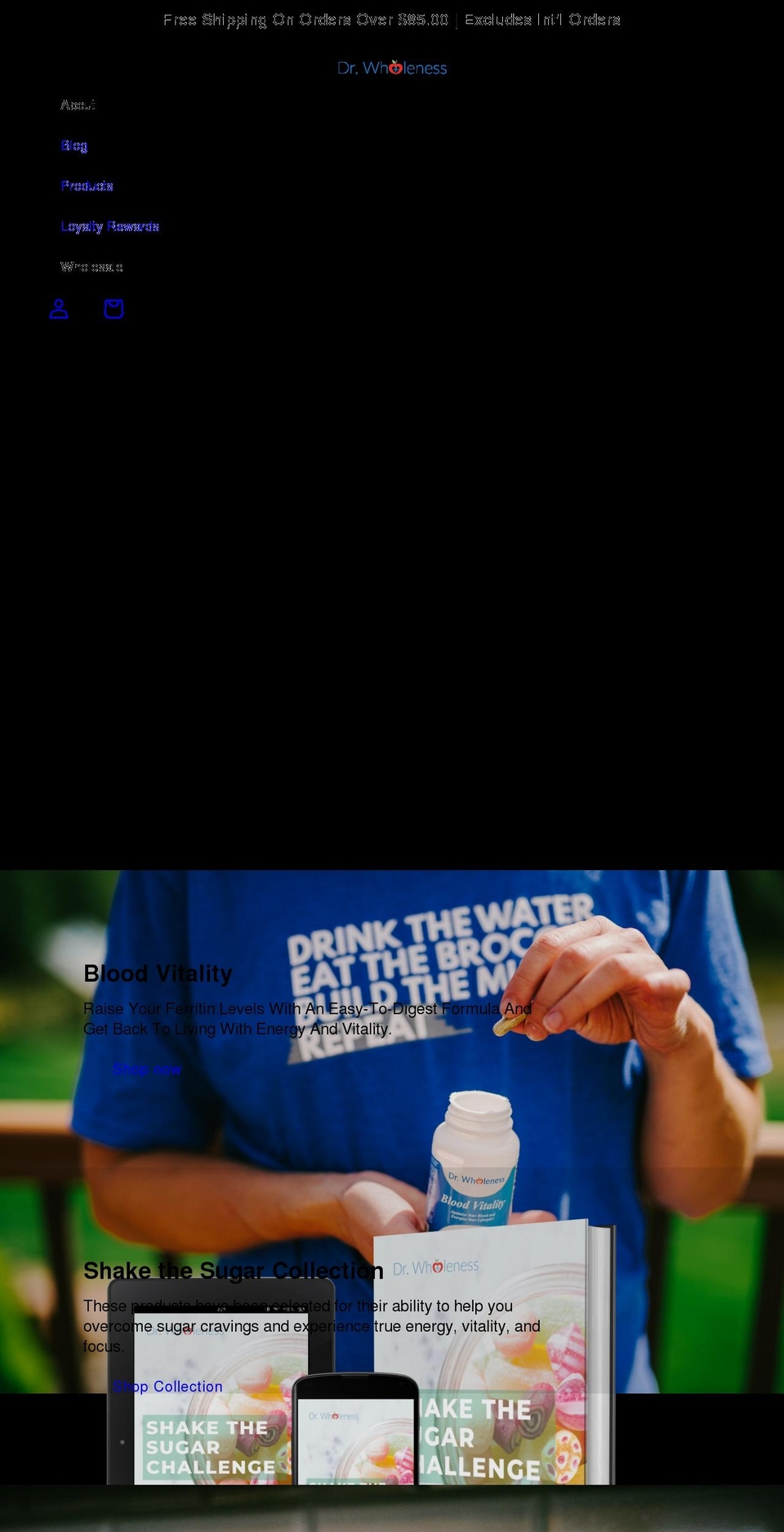 drwholeness.myshopify.com shopify website screenshot
