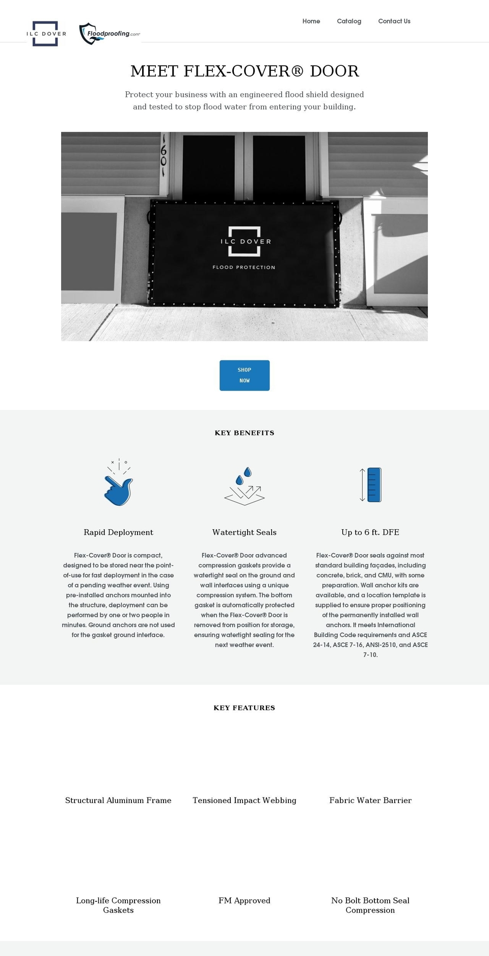 dryfloodproofing.com shopify website screenshot