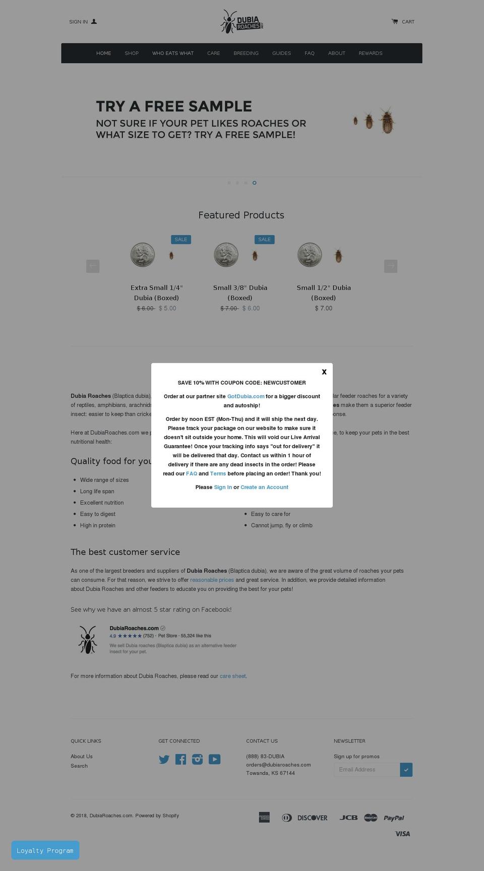 dubairaoches.com — Shopify storefront screenshot
